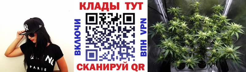 Купить наркотики цена Нерюнгри Галлюциногенные грибы  Cocaine  Alpha-PVP  Мефедрон  Канабис 
