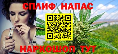 гидропоника Гусь-Хрустальный